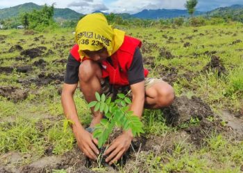 Penanaman bibit pohon pakan ternak oleh Rahmat selaku Koordinator Wilayah Jeneponto 1 di Desa Kalimporo, Kecamatan Bangkala, Kabupaten Jeneponto, Senin (13/01). Foto: Dokumentasi Pribadi.