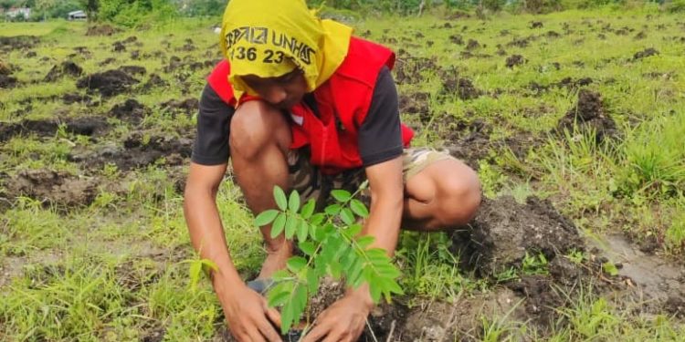 Penanaman bibit pohon pakan ternak oleh Rahmat selaku Koordinator Wilayah Jeneponto 1 di Desa Kalimporo, Kecamatan Bangkala, Kabupaten Jeneponto, Senin (13/01). Foto: Dokumentasi Pribadi.