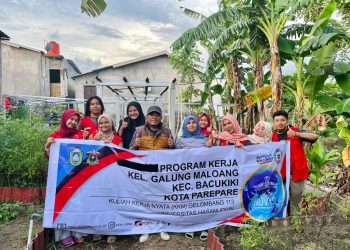 Mahasiswa Kuliah Kerja Nyata Tematik (KKN-T) Gelombang 113 Universitas Hasanuddin (Unhas) mengadakan Program Kerja Lahan Hijau Tanam Bersama (Lantana) di Kebun Binaan Kelompok Wanita Tani (KWT) D’Naila Kelurahan Galung Maloang, Sabtu (18/01). Foto: Dokumentasi pribadi