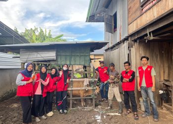 KKNT Unhas Adakan Penyuntikan Vitamin B-Complex Untuk Meningkatkan Kesehatan Ternak