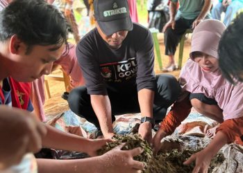 Mahasiswa dan masyarakat melakukan demonstrasi pembuatan pupuk organik di Desa Borisallo, Rabu (29/01).