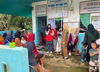 Sosialisasi Stunting KKN Desa Bonto Marannu, Optimalkan Peran Keluarga dalam Pencegahan Stunting 