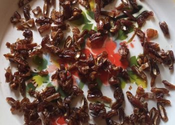 Potongan buah kurma kering yang digunakan sebagai sampel penelitian kandungan senyawa anti-anemia. Foto: Dokumentasi penelitian