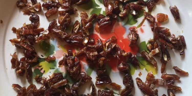 Potongan buah kurma kering yang digunakan sebagai sampel penelitian kandungan senyawa anti-anemia. Foto: Dokumentasi penelitian