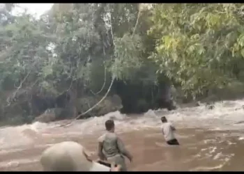 Upaya pencarian mahasiswi Faperta Unhas yang terseret arus sungai oleh aparat berwenang, Senin (12/05). Foto: Istimewa