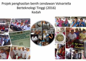 Ketua Persatuan Penyelidik & Pengusaha Cendawan Malaysia, Ts Dr Azhar Mohamad dalam pemaparannya pada Kuliah Umum Fahutan Unhas, Rabu (11/06). Foto: Tangkapan Layar