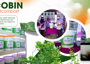 Assoc Prof. TS. Dr. Shahrul Ismail dalam pemaparannya pada Workshop & Public Lecture: Social Inovation in Malaysia, Rabu (11/06). Foto: Tangkapan Layar