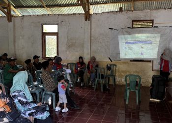 Mahasiswa KKN-T 114 Unhas Adakan Pelatihan Digitalisasi Surat Menyurat di Kelurahan Bulutana