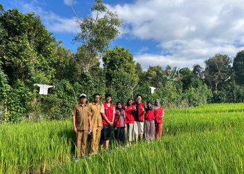 Mahasiswa KKN-T Unhas Uji pH Tanah di Dusun Balleangin untuk Dukung Ketahanan Pangan