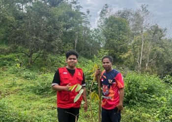 Upaya Ketahanan Pangan, Mahasiswa KKN Balangpesoang Tanam Bibit Durian Musang King 