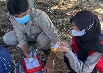 Dukung Kesehatan Hewan, KKN-PK Unhas Hadirkan Program Vaksinasi PMK-Pemberian Vitamin Ternak 