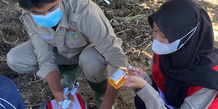 Dukung Kesehatan Hewan, KKN-PK Unhas Hadirkan Program Vaksinasi PMK-Pemberian Vitamin Ternak