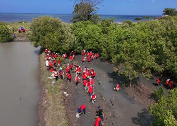 Mahasiswa KKN Unhas se-Kabupaten Bantaeng Rawat Kawasan Pesisir melalui Program BERTUMBUH