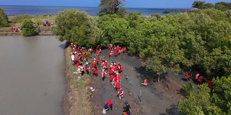 Mahasiswa KKN Unhas se-Kabupaten Bantaeng Rawat Kawasan Pesisir melalui Program BERTUMBUH