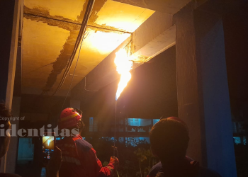 Salah seorang damkar saat mengevakuasi sarang lebah di Ramsis unit 2 Unhas, Jumat (12/09). Foto: IDENTITAS/ANRI