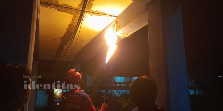 Salah seorang damkar saat mengevakuasi sarang lebah di Ramsis unit 2 Unhas, Jumat (12/09). Foto: IDENTITAS/ANRI