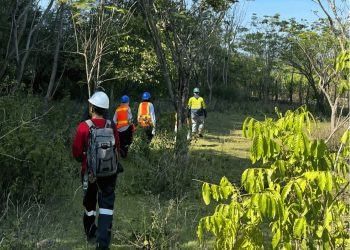 LPPM Unhas Lakukan Monitoring Konservasi Taman KEHATI Bulu Sipong PT Semen Tonasa